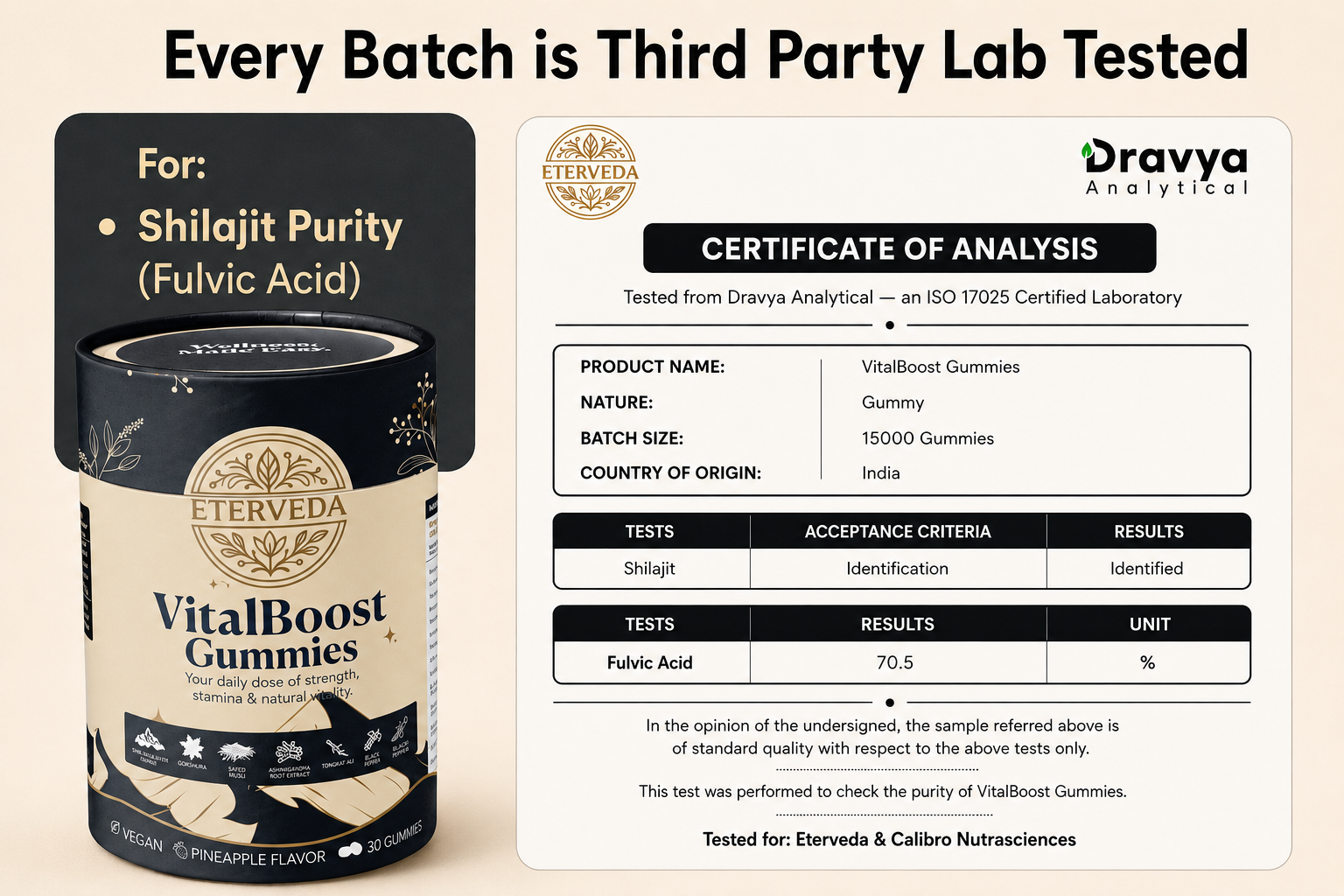 VitalBoost Gummies